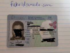 Fake ID Canada Review.. Not Scam
